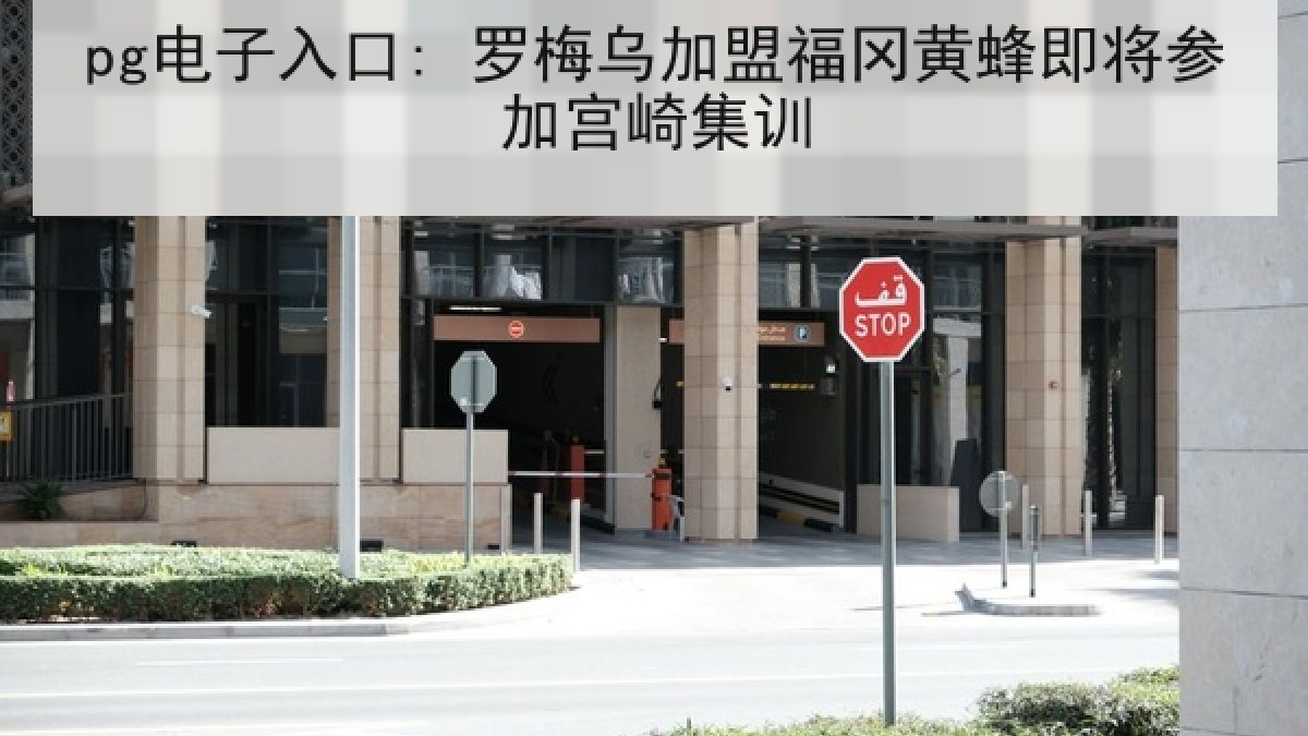 pg电子入口: 罗梅乌加盟福冈黄蜂即将参加宫崎集训