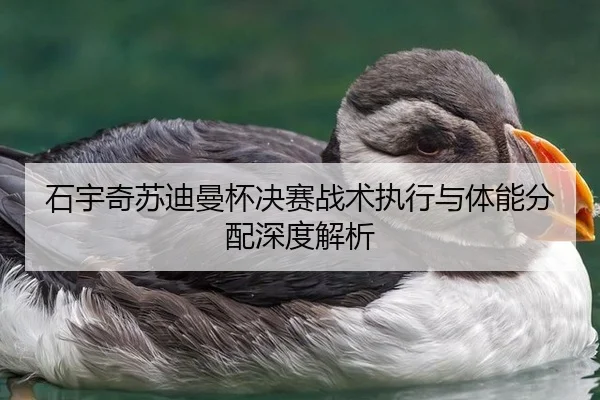 石宇奇苏迪曼杯决赛战术执行与体能分配深度解析