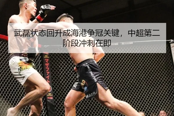 武磊状态回升成海港争冠关键，中超第二阶段冲刺在即