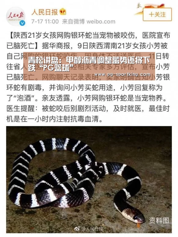 青松讲盘:甲醇沥青调整蓄势还将下跌“PG篮球”(图4) PG竞猜