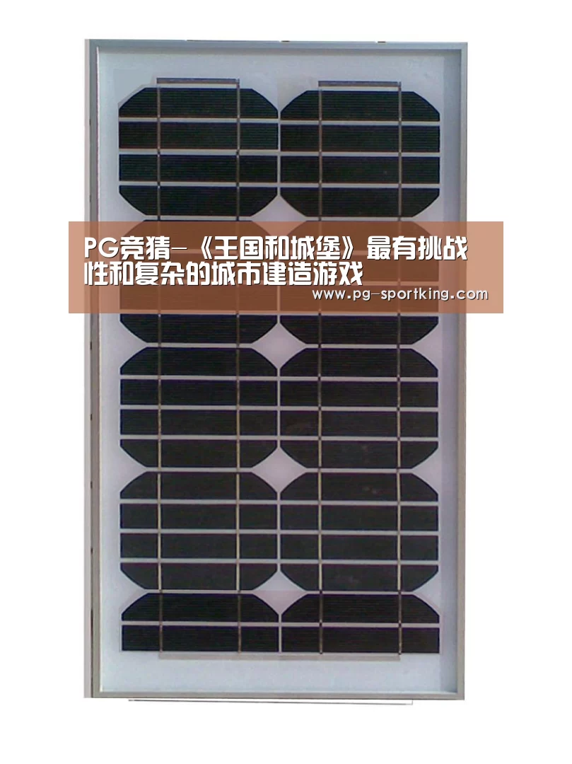PG竞猜-《王国和城堡》最有挑战性和复杂的城市建造游戏(图3) PG体育