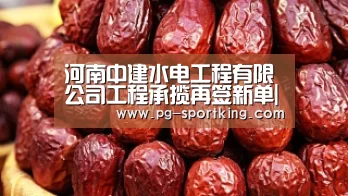 河南中建水电工程有限公司工程承揽再签新单|PG竞猜(图3) PG体育