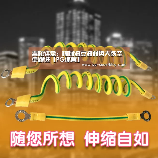 PG篮球